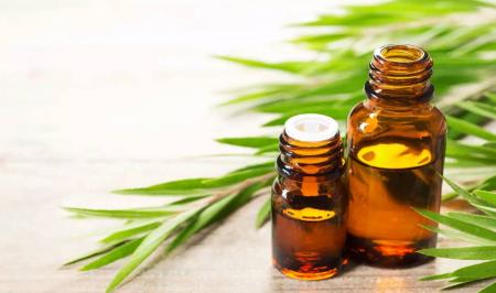 کاربرد اسانس‌ها و روغن‌ها در حین ماساژ را بشناسید