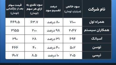 تقسیم سود شرکت‌های فناوری