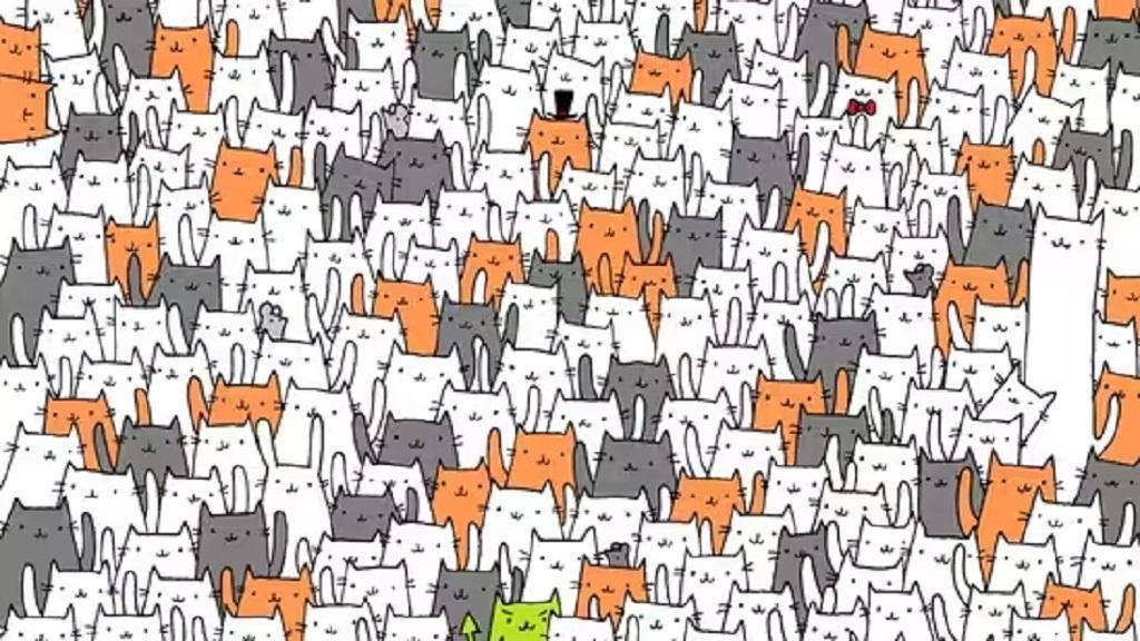 ۱۱ بازی فکری برای تحکیم حافظه مختصر مدت_اسپایدر 9 بازی پیدا کردن چیزها