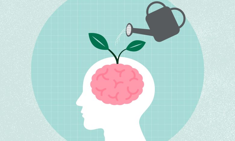 ۱۱ بازی فکری برای تحکیم حافظه مختصر مدت_اسپایدر 1 آب دادن به جوانه مغز