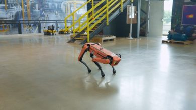 Boston Dynamics Spot