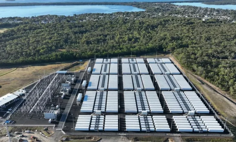 Waratah Super Battery.jpeg.webp