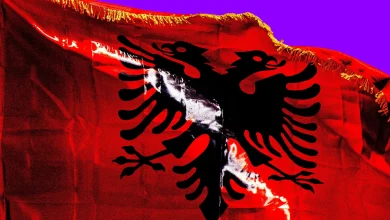 دولت آلبانی میخواهد بخشی از مسئولیتها را به هوش مصنوعی بسپارد_اسپایدر 14 albania replace government chatgpt.webp