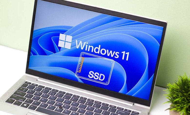 آپدیت ویندوز 11 عامل خرابی اساسدیها نیست_اسپایدر 1 windows 11 ssd