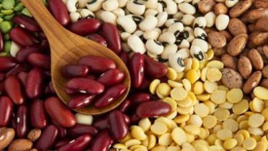 پاسخ‌های علمی درست به یک باور؛ مصرف حبوبات فشار خون را بالا می‌برد؟