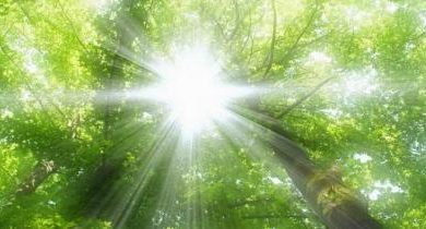 نور خورشید؛ ویتامین رایگان برای مغز و روح
