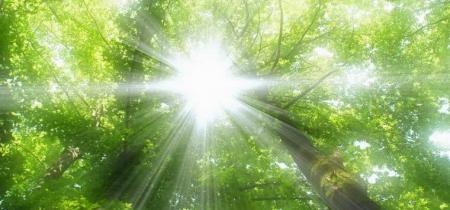 نور خورشید؛ ویتامین رایگان برای مغز و روح_اسپایدر 1 نور خورشید؛ ویتامین رایگان برای مغز و روح