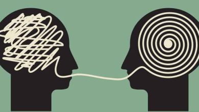 فرق انتقاد با اعتراض: دو مسیر برای گفتن مخالفت_اسپایدر 11 فرق انتقاد با اعتراض: دو مسیر برای بیان مخالفت