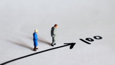 یک عامل موثر بر افزایش طول عمر_اسپایدر 5 یک عامل موثر بر افزایش طول عمر