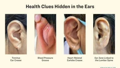مزایای ماساژ گوش برای بدن که از آن بی منفعت مانده اید_اسپایدر 5  سرنخهای پنهان سلامتی در گوش