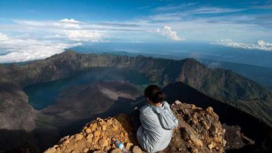 چطور مقصد خود را اشکار کنیم؟ راهنمای یافتن معنی در زندگی_اسپایدر 4 چگونه هدف خود را پیدا کنیم