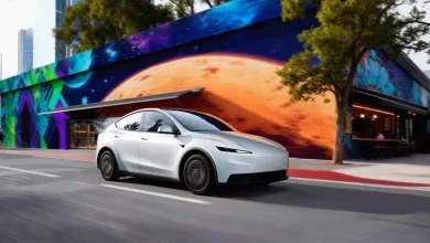 ModelYStandard 97.jpg.webp