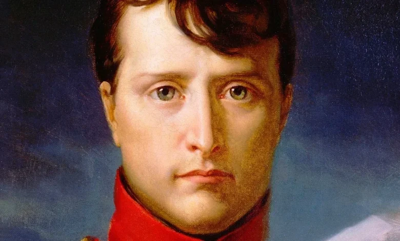 آزمایش DNA علت نابودی لشکر ناپلئون در جنگ با روسیه را برملا کرد_اسپایدر 1 Napoleon Portrait.jpg.webp