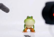 OpenAI Sora Cameo
