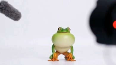 OpenAI ویژگی ساخت آواتار شخصی را به Sora اضافه کرد + ویدیو_اسپایدر 1 OpenAI Sora Cameo