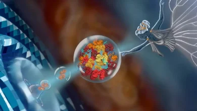 هوش مصنوعی میتواند علتایجاد تهدیدهای روز صفر در زیستشناسی شود_اسپایدر 3 a wise counsel for syn.jpg.webp