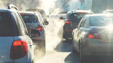 آلاینده سوخت فسیلی با افزایش ریسک بیماری ALS رابطه دارند_اسپایدر 8 pollutant in fossil fuels has been linked with als 3