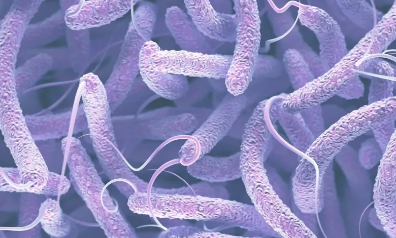 protein found in bacteria could cause cancer cells to self destruct ۱.jpeg.webp