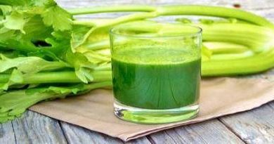 این مواد غذایی کلیه ها را زنده و فعال نگه می دارند_اسپایدر 1 این مواد غذایی کلیه ها را زنده و فعال نگه می دارند