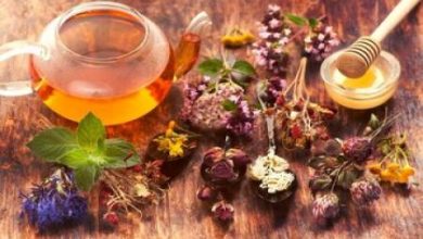 لاغر شدن با دمنوش حقیقت دارد یا افسانه است؟_اسپایدر 2 لاغر شدن با دمنوش واقعیت دارد یا افسانه است؟