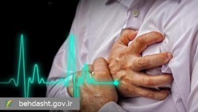 هشدار متخصص قلب و عروق درمورد تأثیر سرمای هوا بر سلامت قلب_اسپایدر 8 هشدار متخصص قلب و عروق درباره تأثیر سرمای هوا بر سلامت قلب