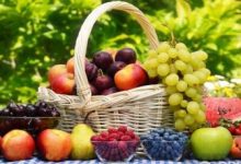 با خوردن میوه تازه سلامت ریه هایتان را نگه داری کنید_اسپایدر 28 با خوردن میوه تازه سلامت ریه هایتان را حفظ کنید